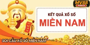 Soi Cầu Xổ Số Miền Nam